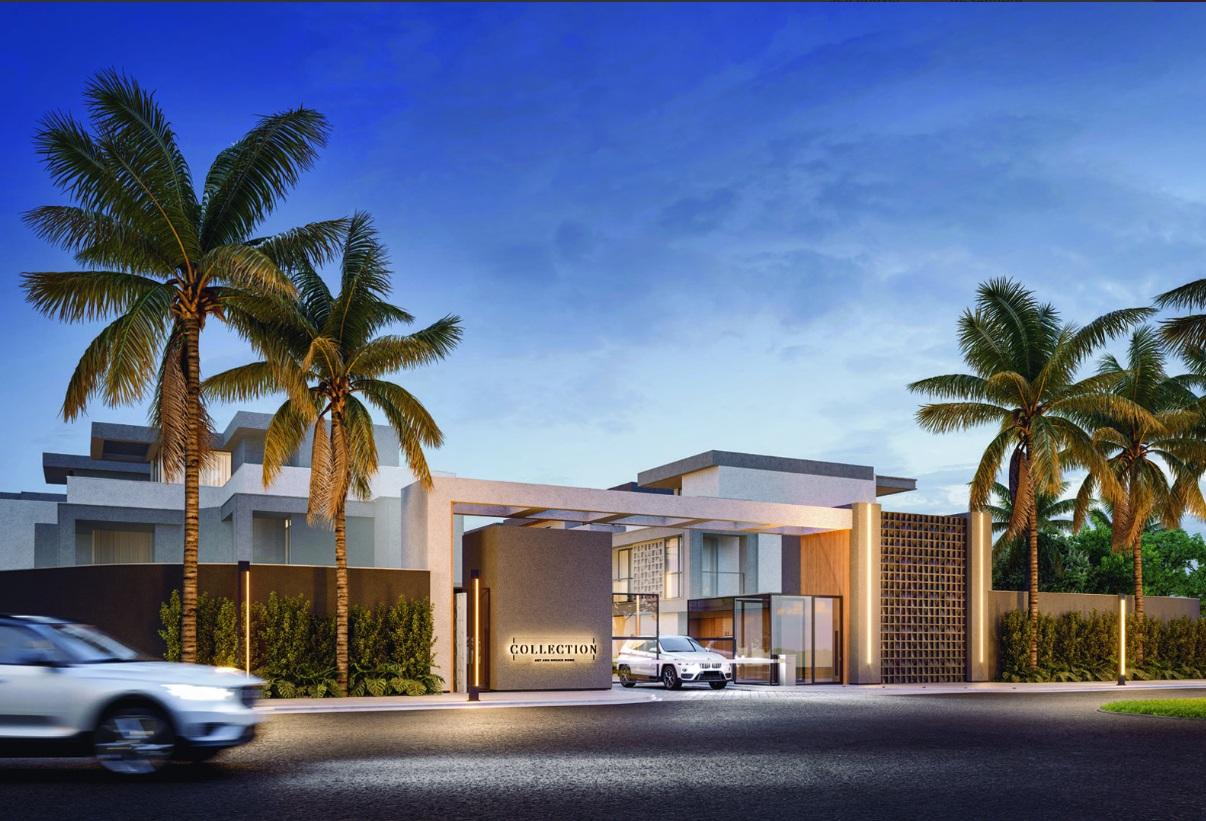 Collection – Alameda